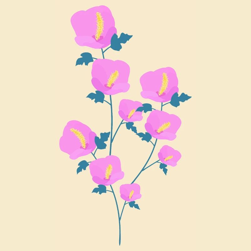 Fleurs d’hibiscus