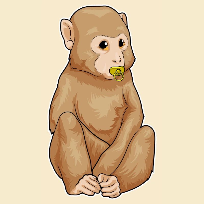 Monkey pacifier