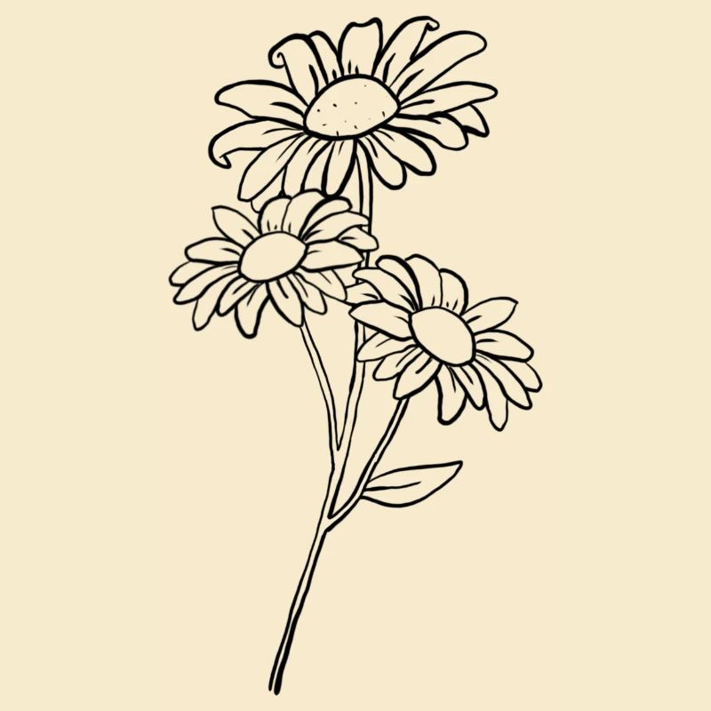 Gänseblümchen / Daisy