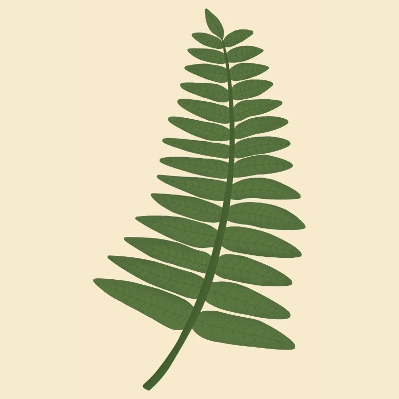 fern leaf