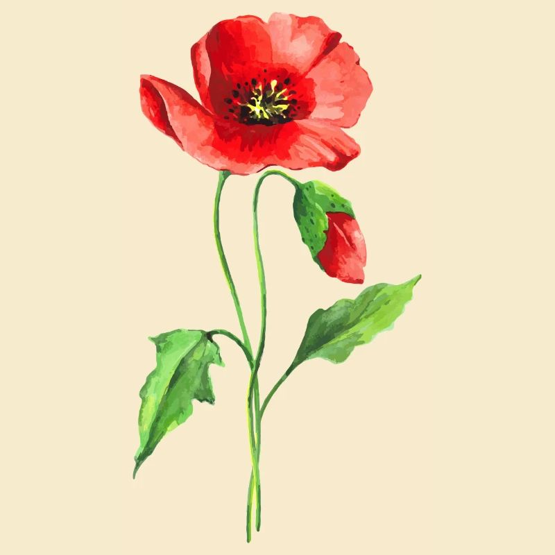 Blume