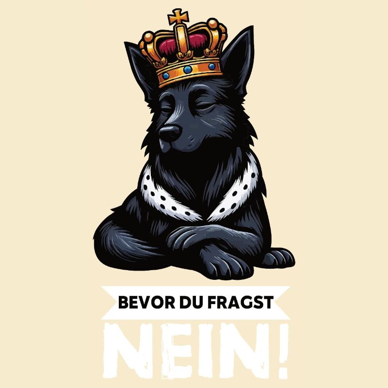 Before you ask Black Shepherd Shepherd Dogs