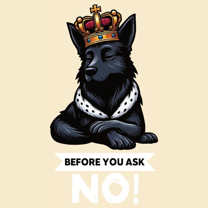 Before You Ask Black Shepherd Shepherds