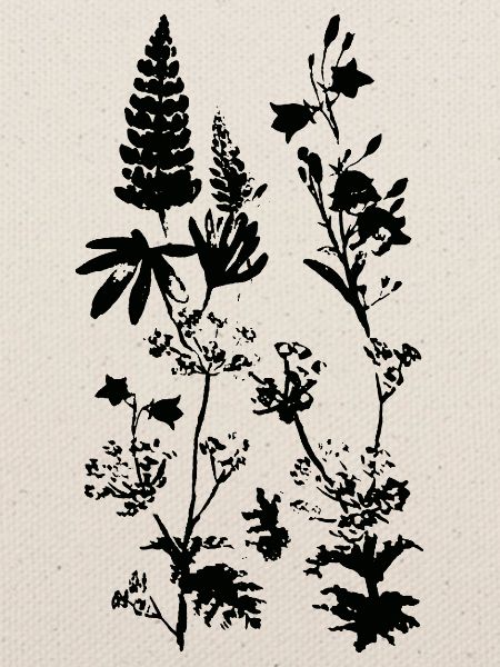 WIESENPFLANZEN