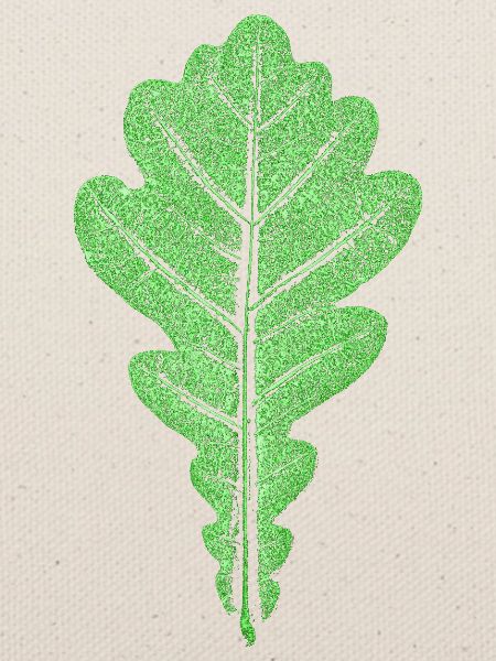 Eichenblatt / Blatt der Eiche - Botanisch