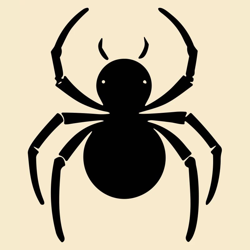 Spinne