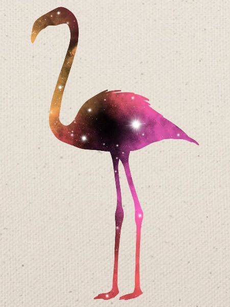 Galaxy Flamingo