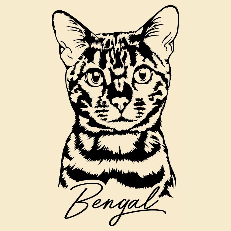 Bengal Chat Portrait Pedigree Chat Chats Wilsigns