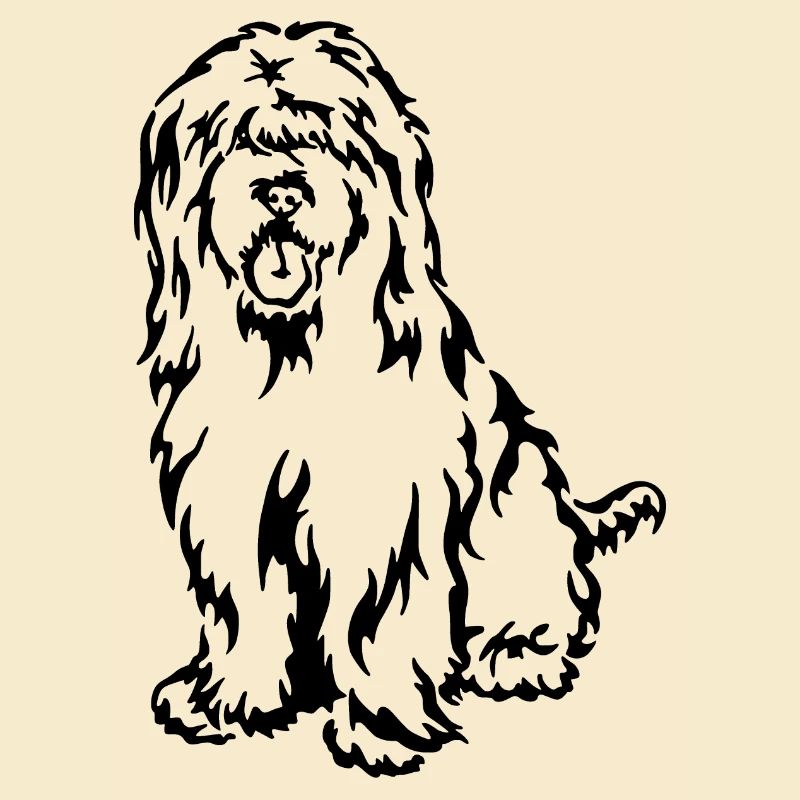 Briard