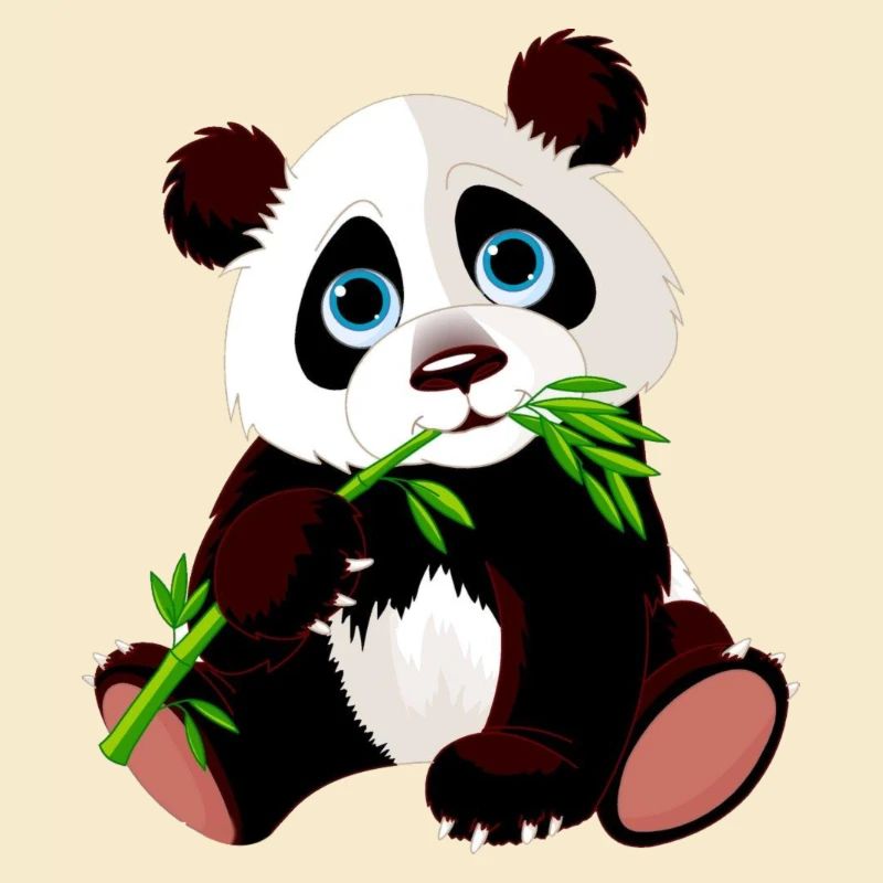 panda