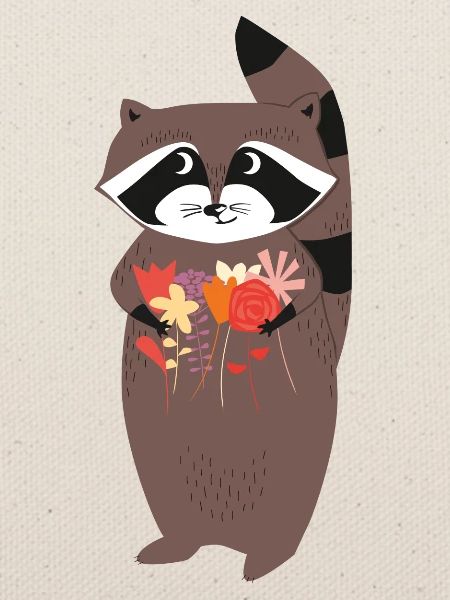 Racoon
