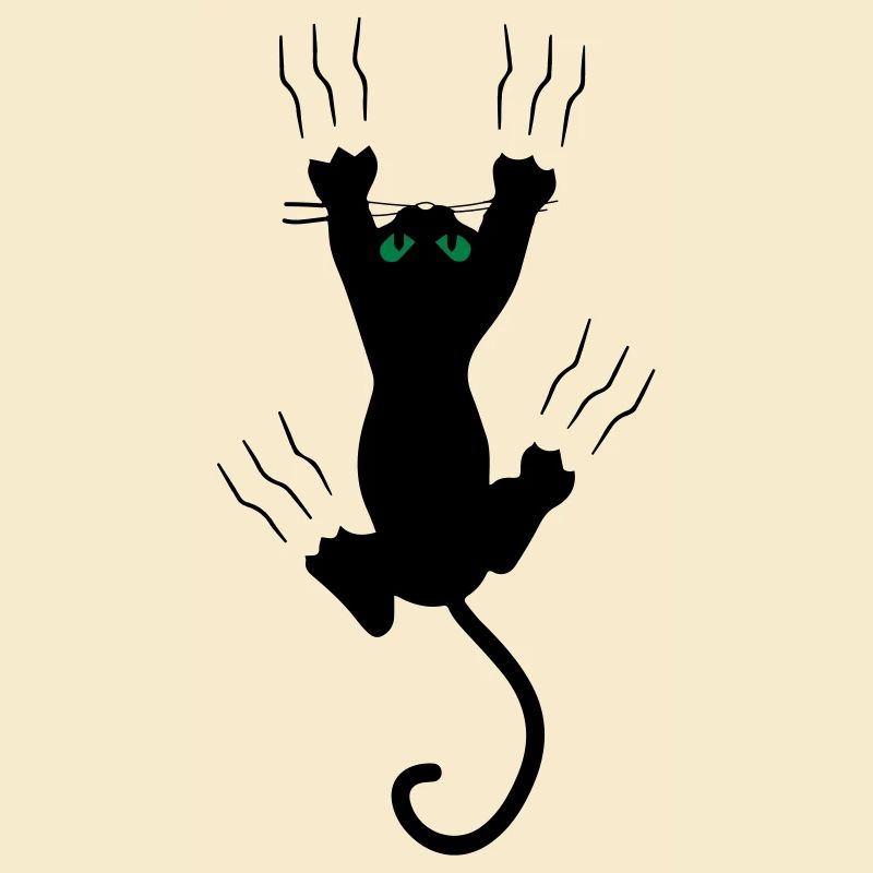 Katze