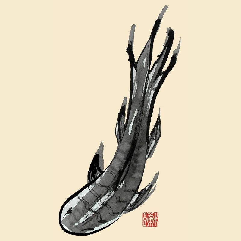 Koi Fish