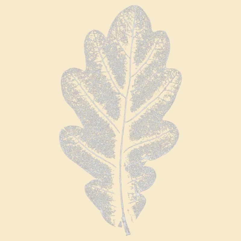 Feuille CHÊNE / feuille de chêne BLANC
