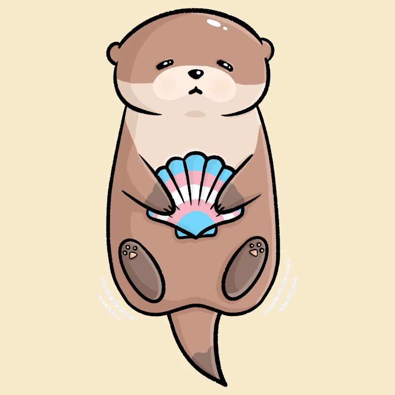 Cute Otter Shell Trans Queer Flag Flag LGBTQ