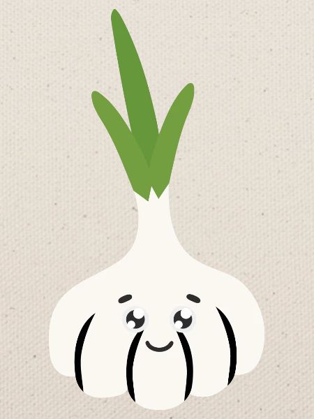Knoblauch