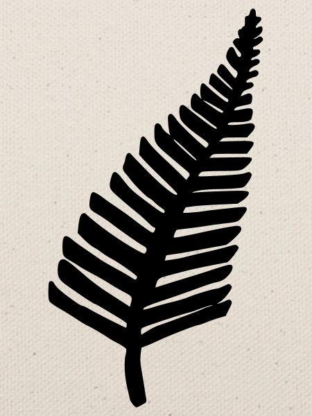 Fern