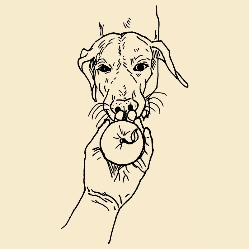 Hund mit Apfel