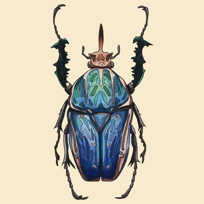 Big Beetle Stag - cerf géant