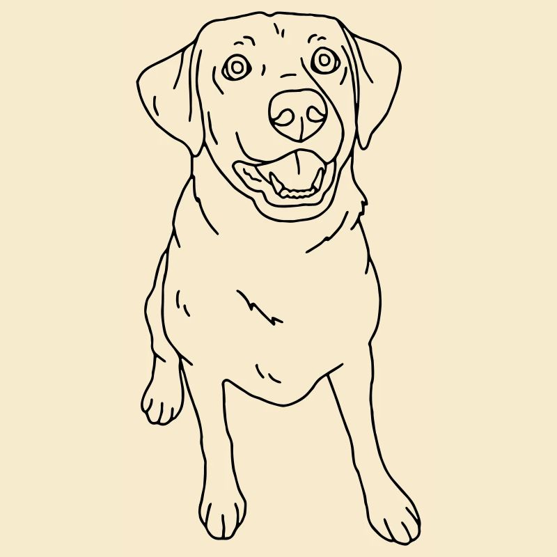 Hund