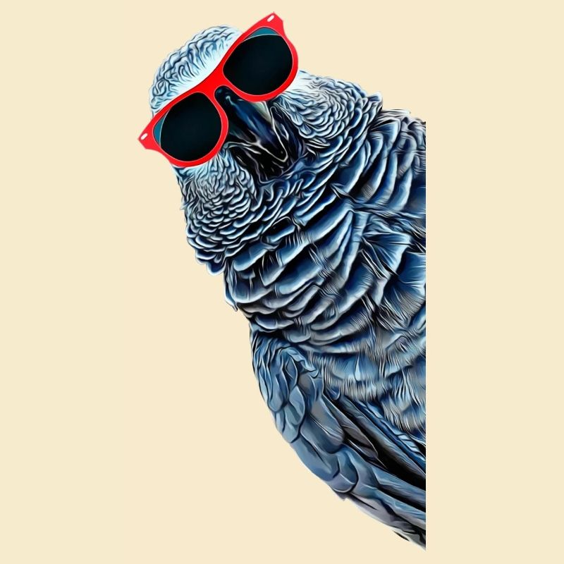 African Grey Parrot Gift