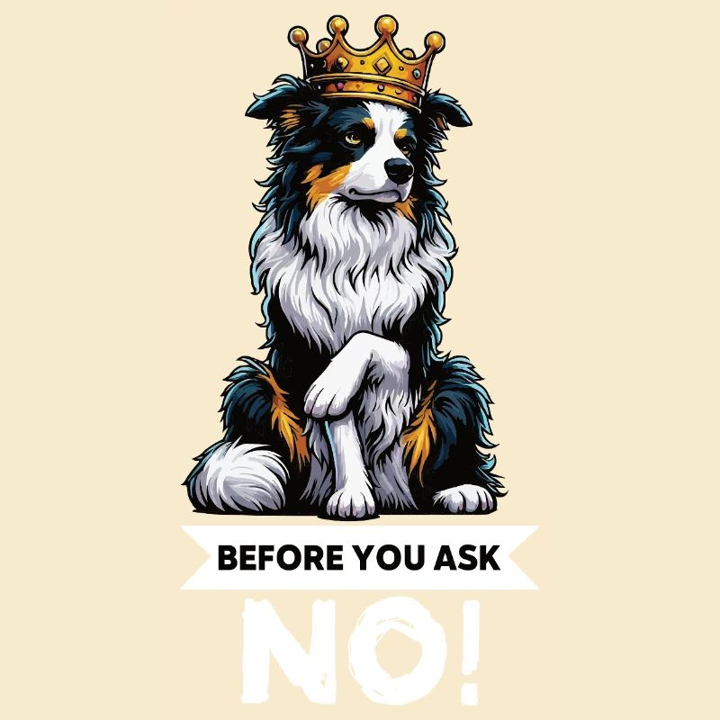 Before You Ask Australian Shepherd Aussie Aussies