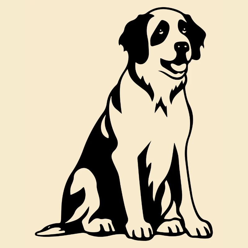 Saint Bernard Hund