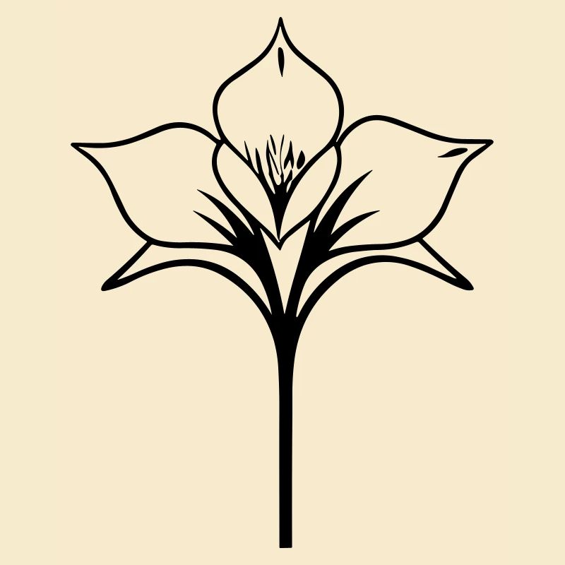 Blume