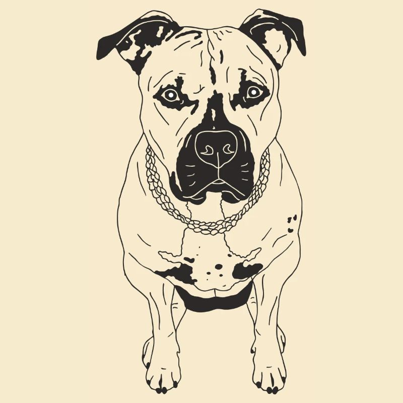 Rhodesian Ridgeback Mix