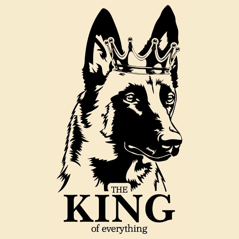 Malinois Roi de tout Dire Chiens Wilsigns