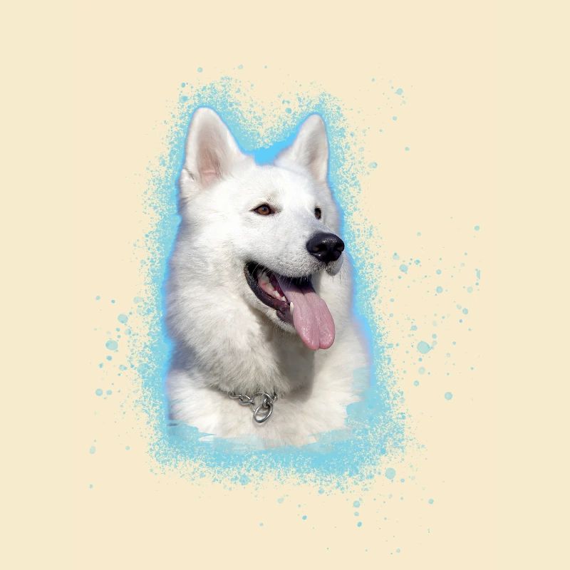 Berger Blanc Suisse,schäferhund,hund,graffiti,rosa
