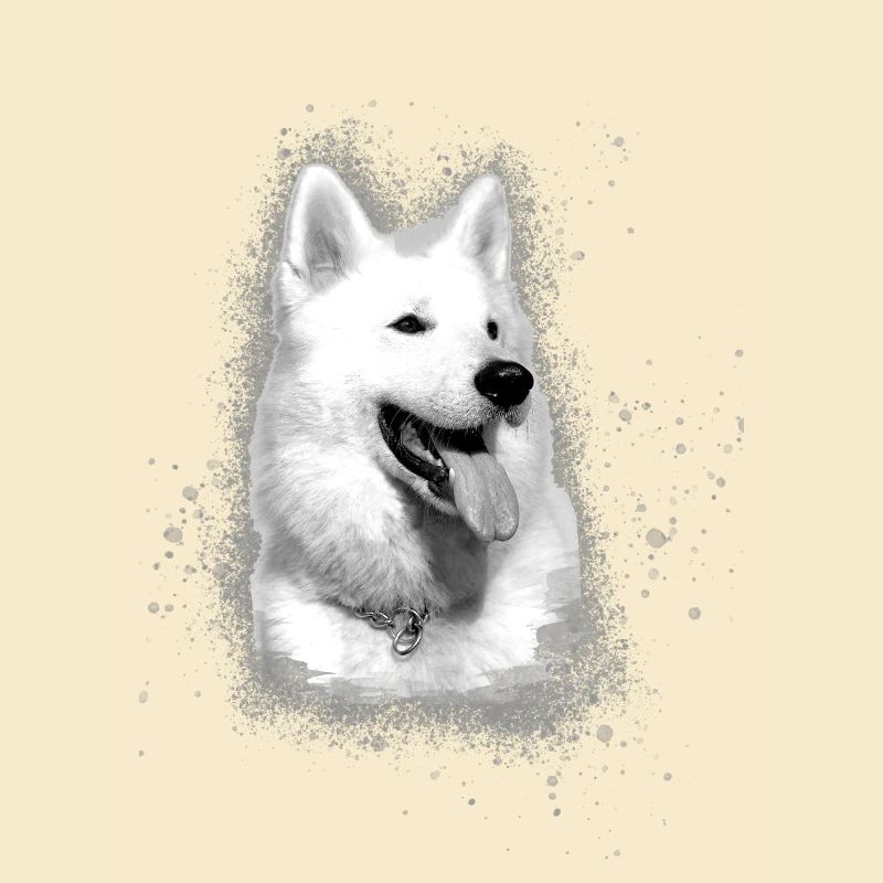 Berger Blanc Suisse,schäferhund,hund,graffiti