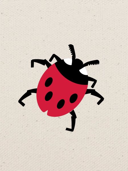Marienkäfer / ladybug (3c)