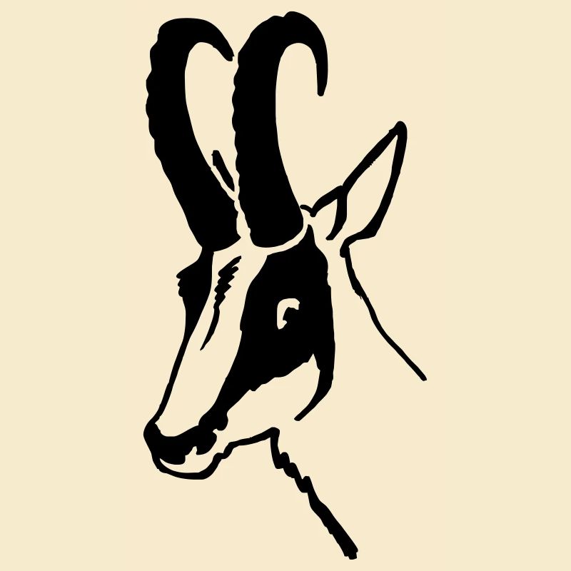 Chamois