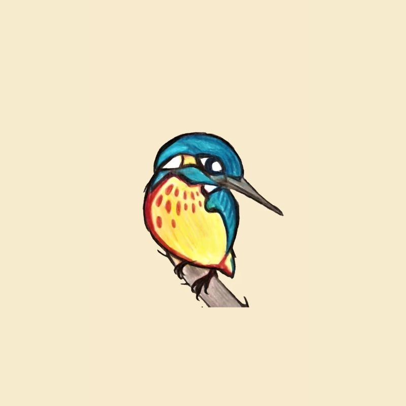 Eisvogel