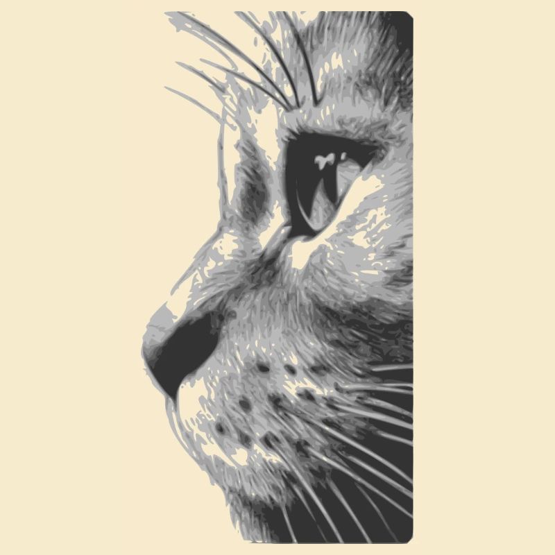 Katzengesicht
