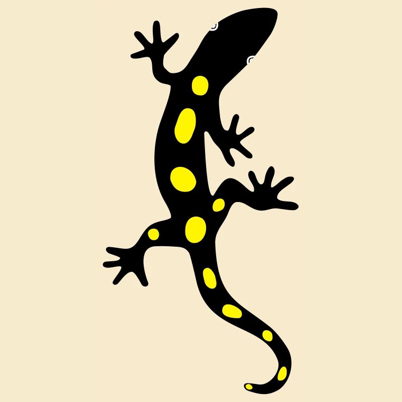 Eidechse Salamander Gecko Feuersalamander