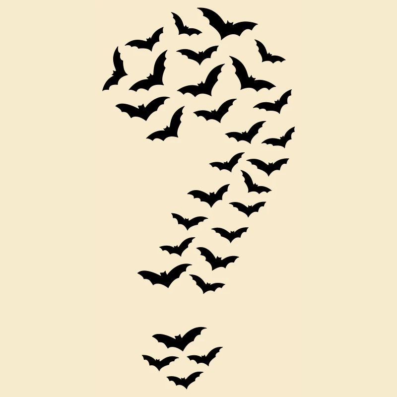 Fledermäuse