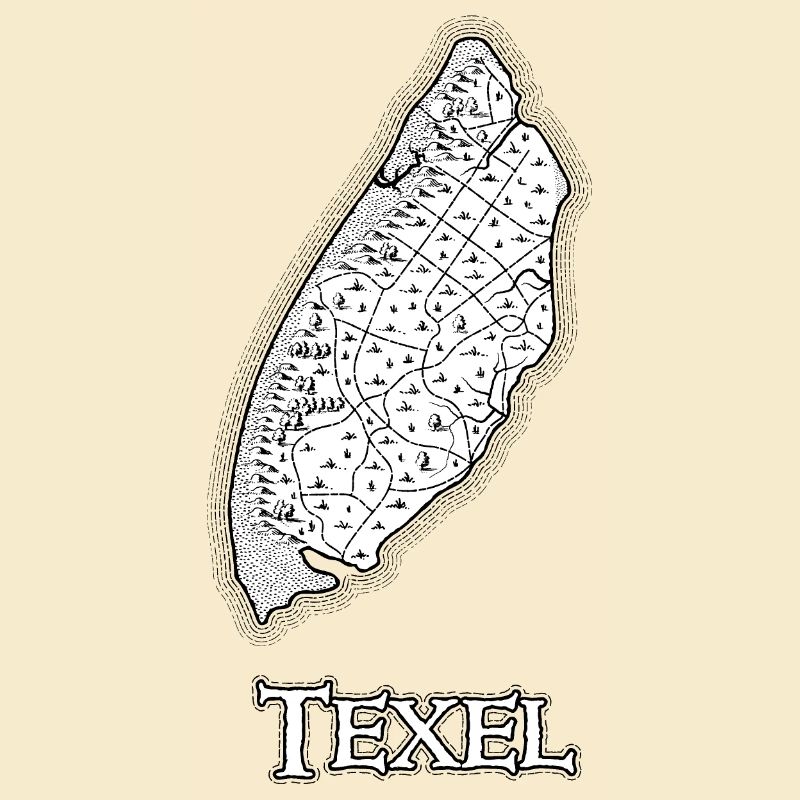 Texel | Antique map | Treasure map