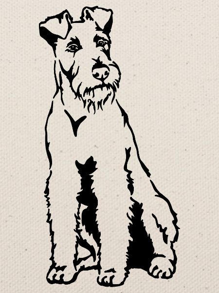 Irish Terrier