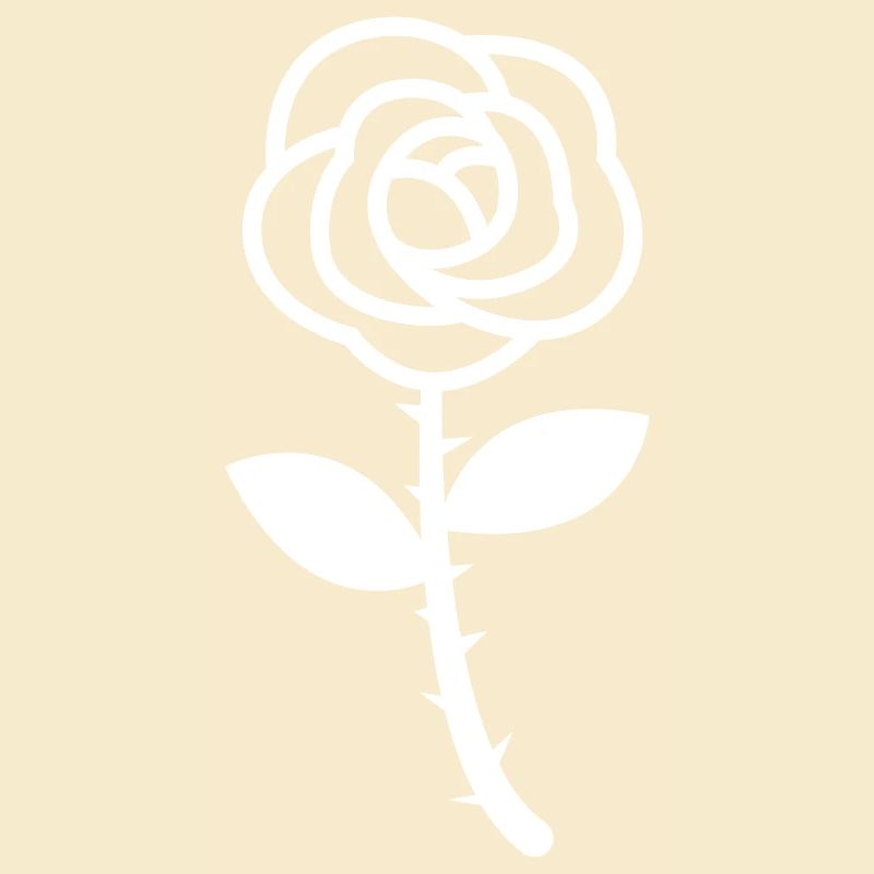 Rose blume
