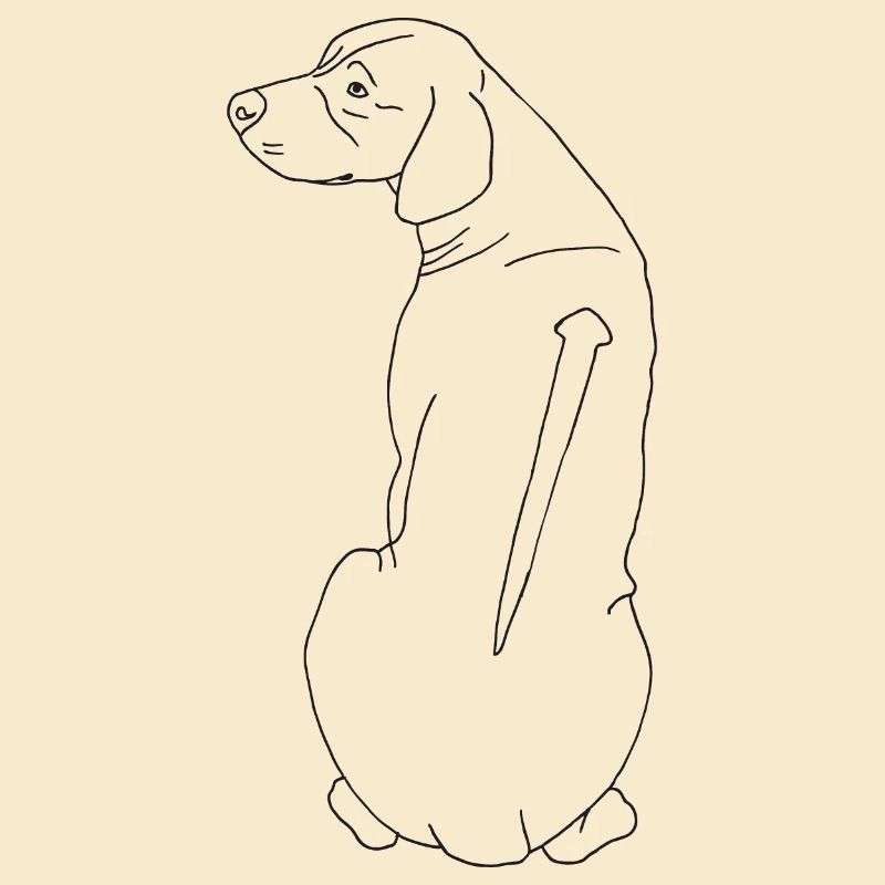 Rhodesian Ridgeback