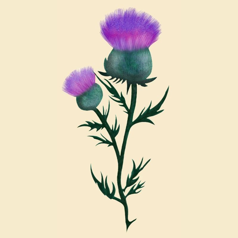 Distel Bearbeiten 1