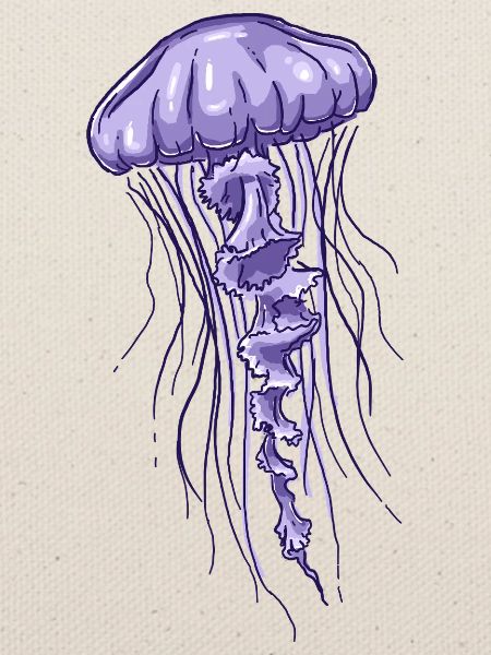 Purple Jellyfish Illustration 
