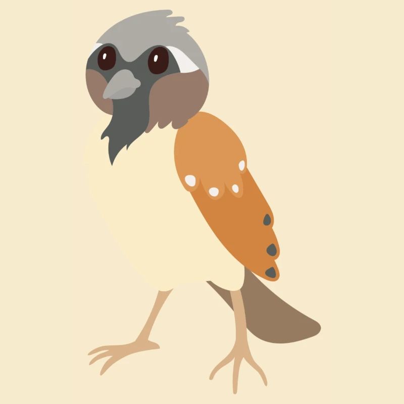 Spatz
