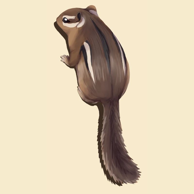 Chipmunk