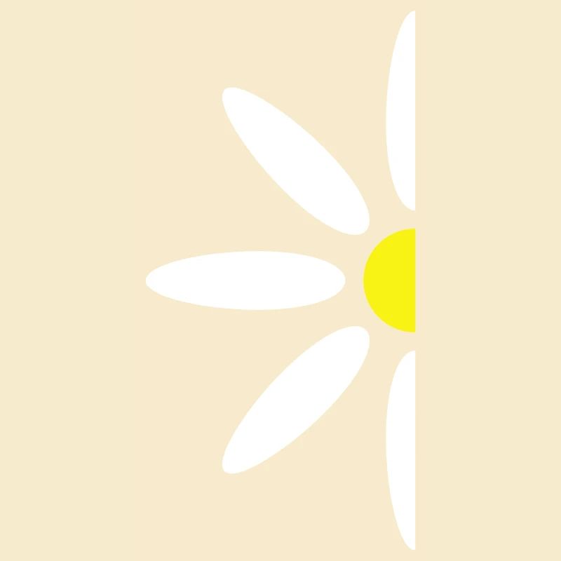 Small Daisy Half Flower White Decorative Beautiful