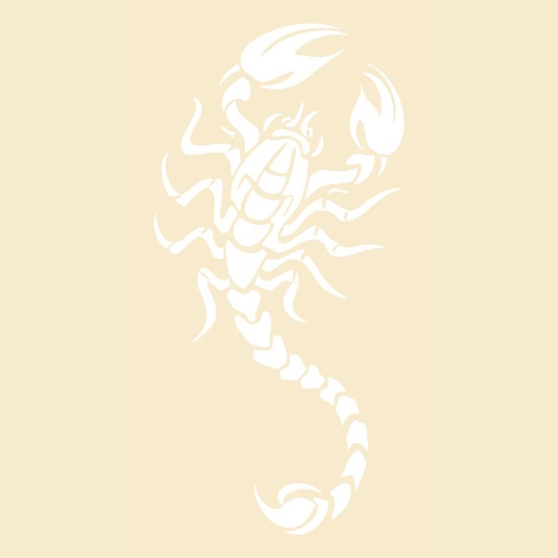 Night Contrast Scorpio Silhouette
