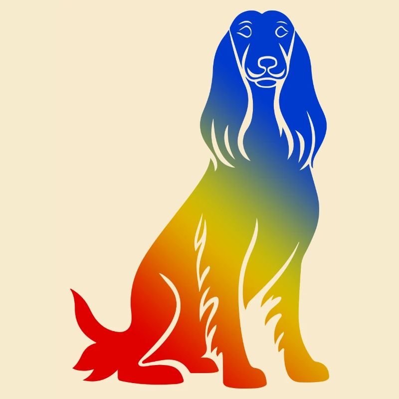 Afghan Hound Hund Bunt