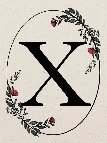 Buchstabe X